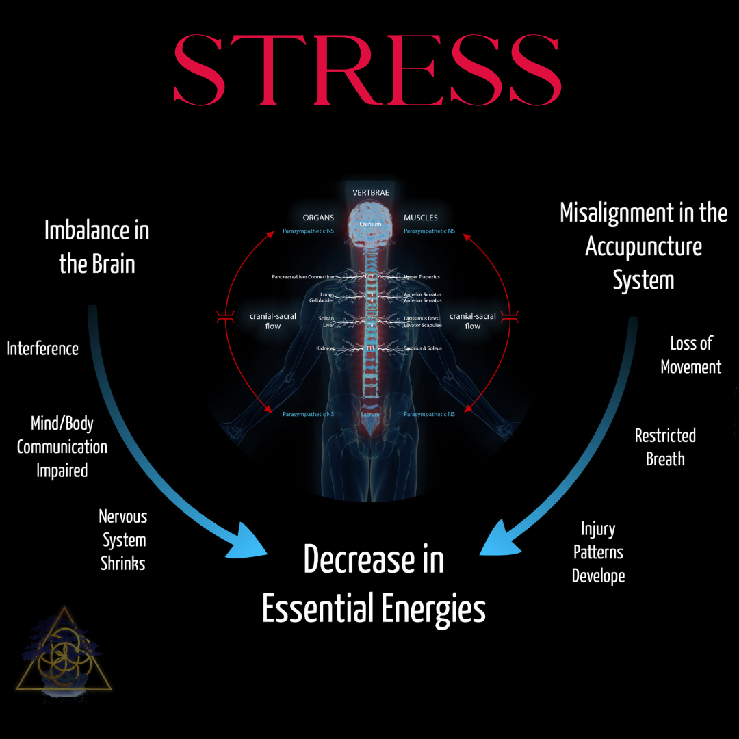 STRESS – 101